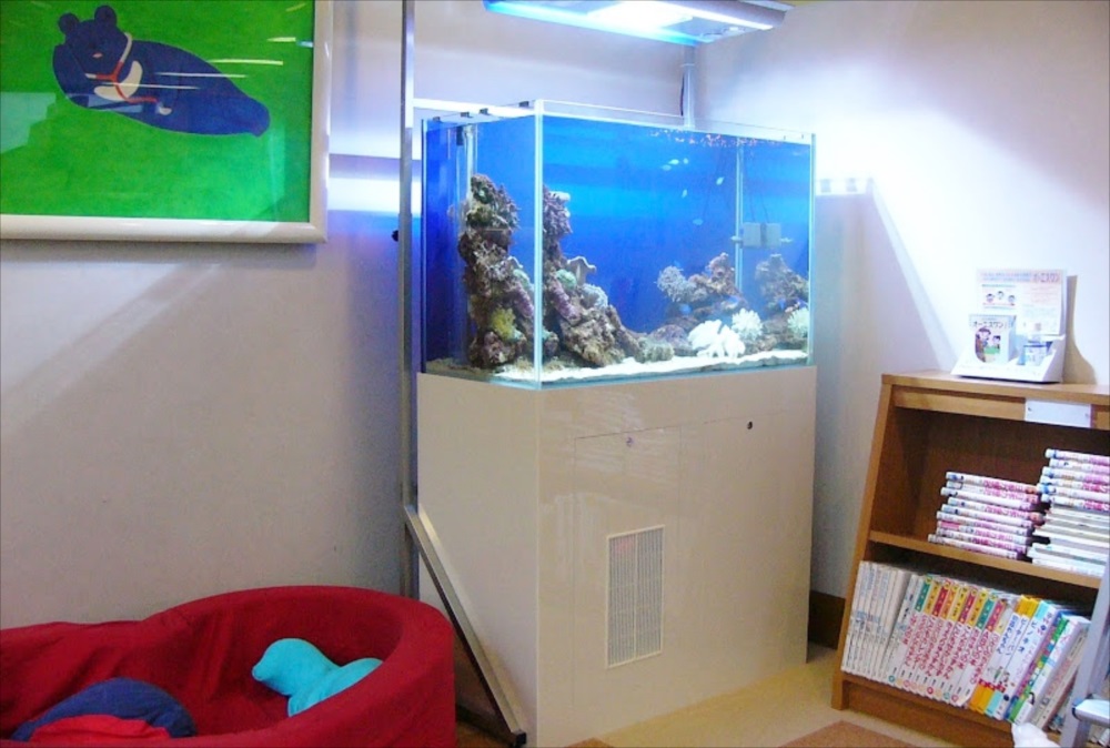 小児科　キッズルーム　海水魚水槽　全体画像