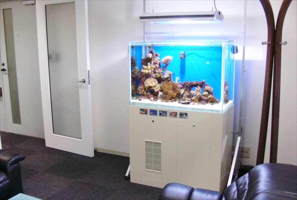 オフィスの会議室　サンゴ水槽　全体画像