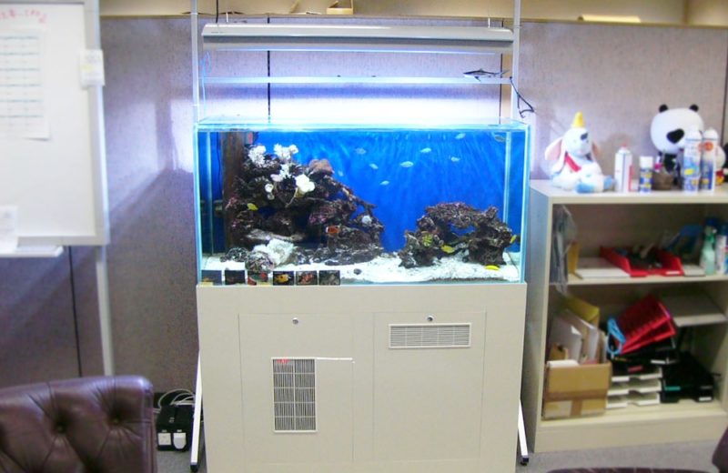 企業様のオフィスに120cm海水魚水槽を設置　水槽レンタル事例 水槽画像３