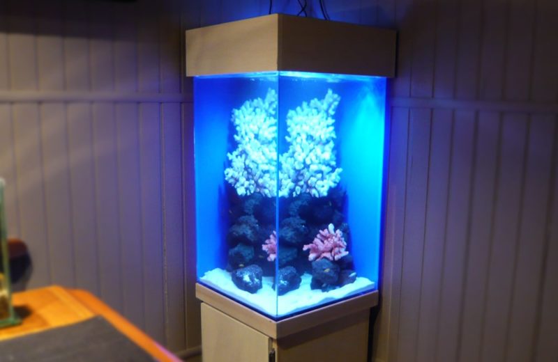 新宿区 飲食店(バー)　45cm特注海水魚水槽　水槽レンタル事例 水槽画像２
