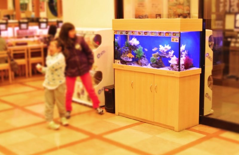 栃木県 飲食店様　120cm海水魚水槽　水槽レンタル事例 水槽画像２