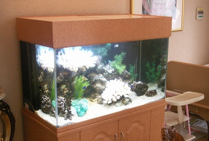 千葉県 婦人科医院様 90cm海水魚水槽 水槽一式販売・設置事例｜東京 