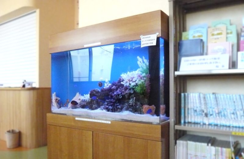 千葉県 病院様  90cm海水魚水槽  販売・メンテナンス事例 水槽画像１