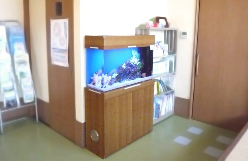 千葉県 病院様  90cm海水魚水槽  販売・メンテナンス事例 水槽画像２