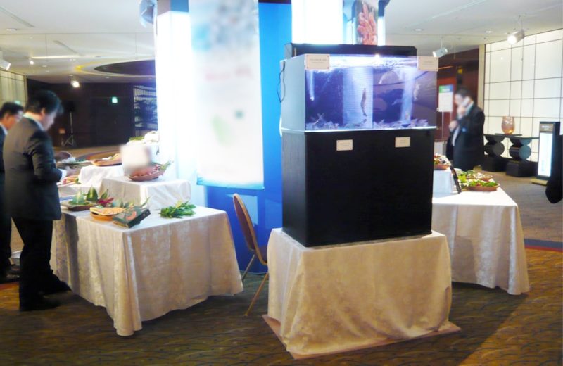 海鮮食品展示イベントに設置　90cm海水魚水槽　レンタル事例 水槽画像２