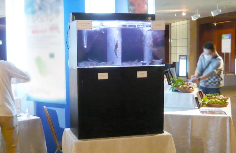 海鮮食品展示イベントに設置　90cm海水魚水槽　レンタル事例 水槽画像１