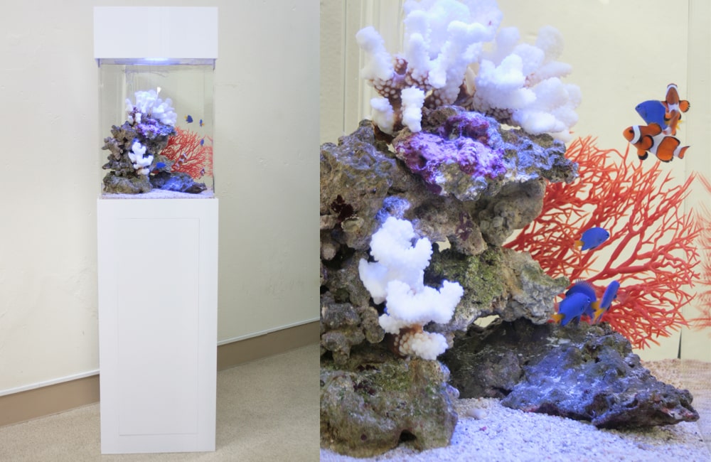 海水魚 淡水魚水槽の美しいレイアウト事例25選 サイズ別にご紹介します 東京アクアガーデン