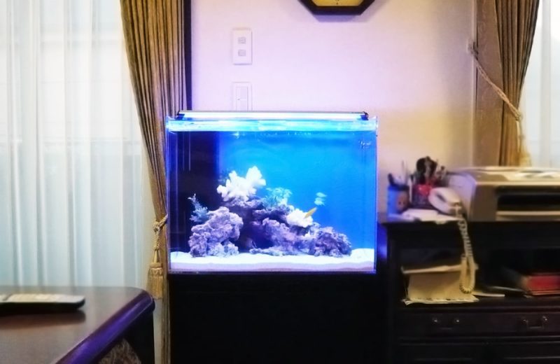 都内 個人宅様  60cm海水魚水槽  設置事例 水槽画像２