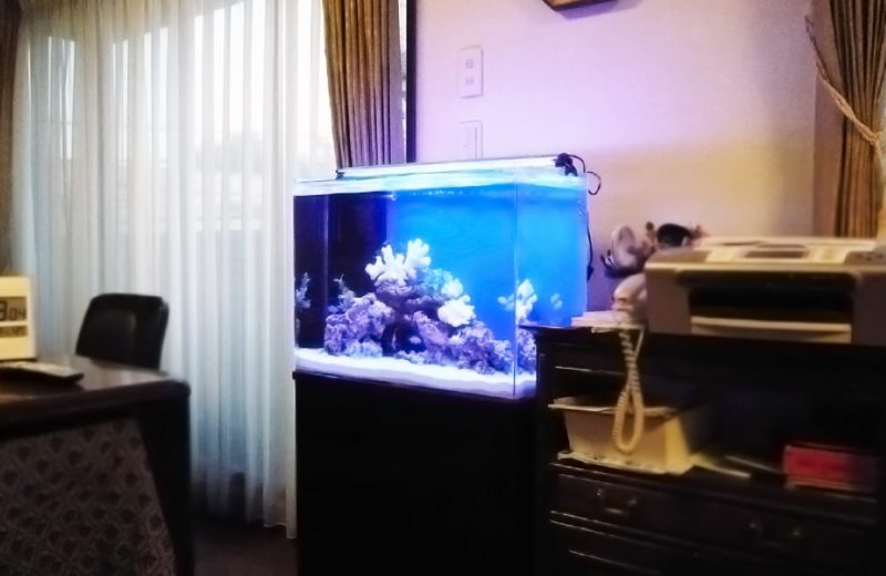 都内 個人宅様  60cm海水魚水槽  設置事例 水槽画像４
