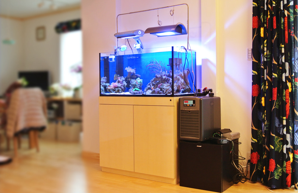 東京都 個人宅様  90cm海水魚水槽リニューアル事例 サンゴアクアリウム メイン画像