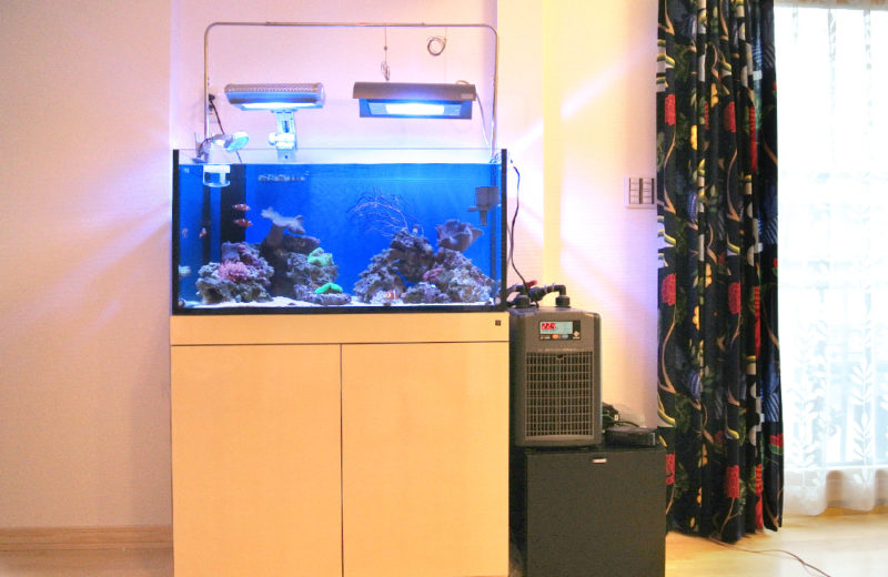 東京都 個人宅様  90cm海水魚水槽リニューアル事例 サンゴアクアリウム 水槽画像２