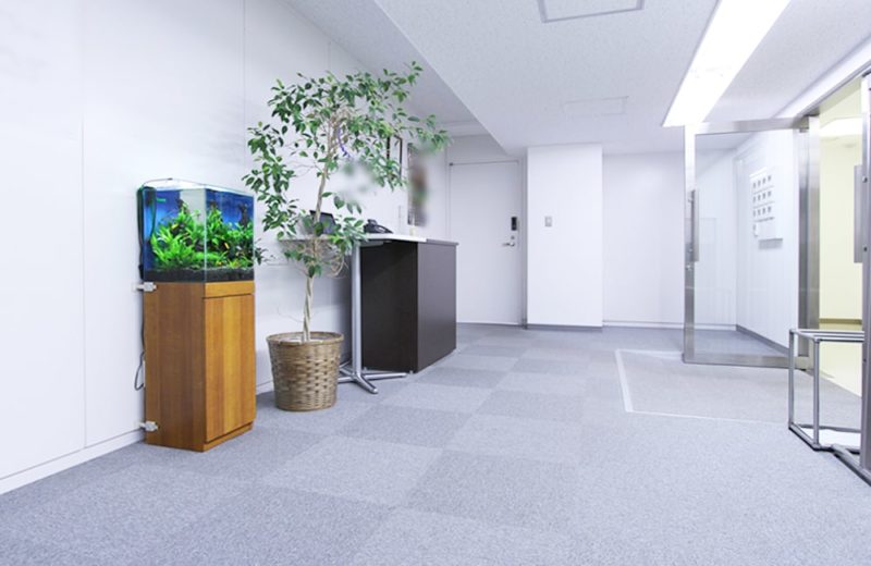 千代田区　オフィス　30cm淡水魚水槽レンタル・設置事例 水槽画像４