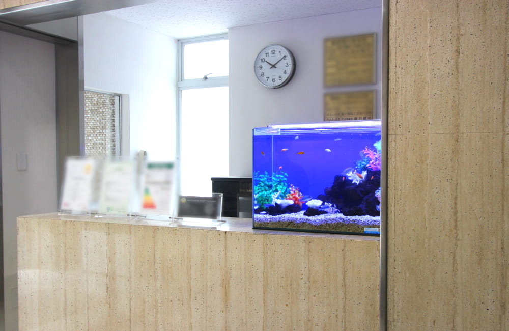 受付カウンターにも水槽は設置できることがあります
