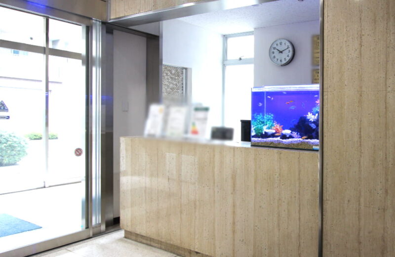 新宿 企業様  60cm淡水魚水槽  水槽レンタル事例 水槽画像２