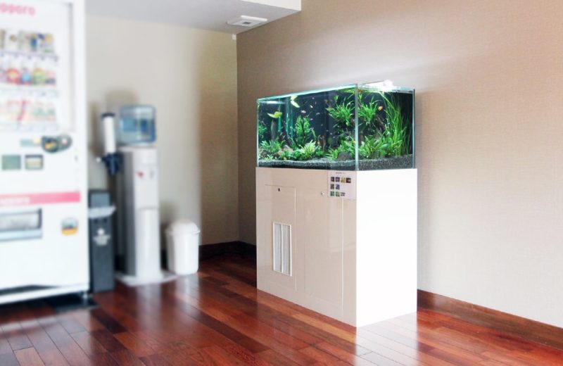 神奈川県鎌倉市  旅館様  90cm淡水魚水槽  設置事例 水槽画像５