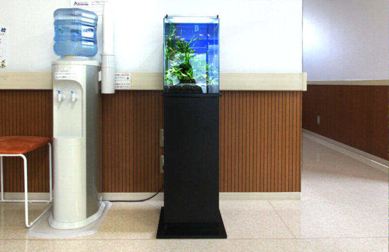 埼玉県三郷市 クリニック様  30cm淡水魚水槽  レンタル事例 水槽画像２