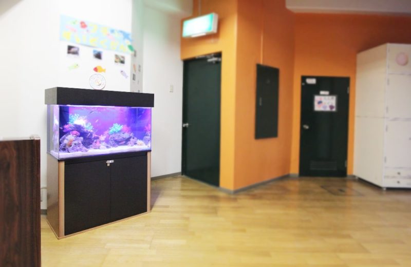 東京都北区  幼稚園  ホール  90cm海水魚水槽レンタル事例 水槽画像４