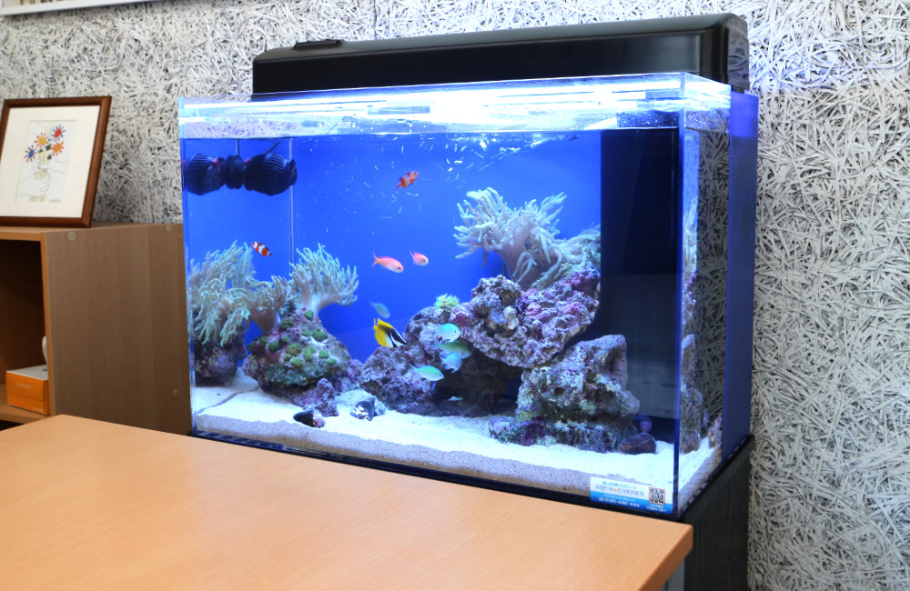 オフィスの打ち合わせスペース　60cm海水魚水槽レンタル事例のサムネイル画像