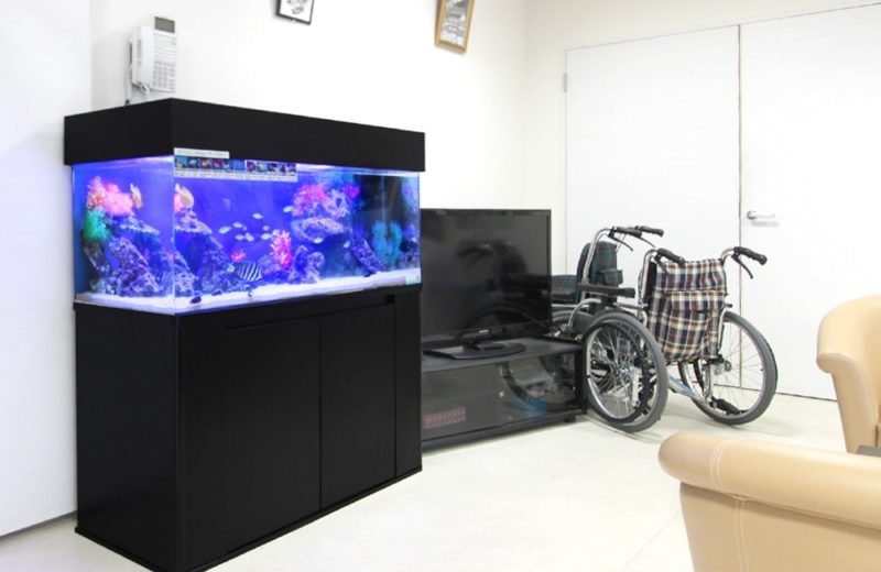 川崎市　特別養護老人ホーム様 120cm海水魚水槽レンタル事例 水槽画像４