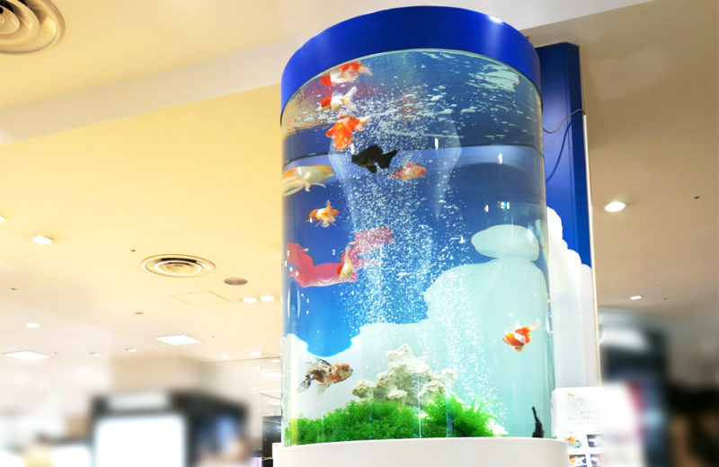 百貨店イベント　金魚の円柱水槽　水槽レンタル事例 水槽画像１