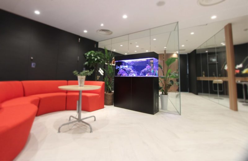 千代田区　オフィスのエントランスに設置　120cm海水魚水槽リース 水槽画像１