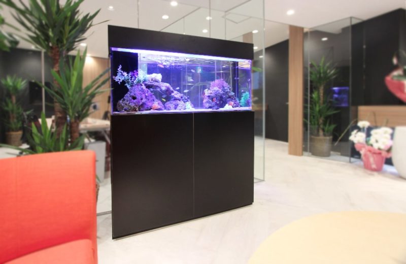 千代田区　オフィスのエントランスに設置　120cm海水魚水槽リース 水槽画像４