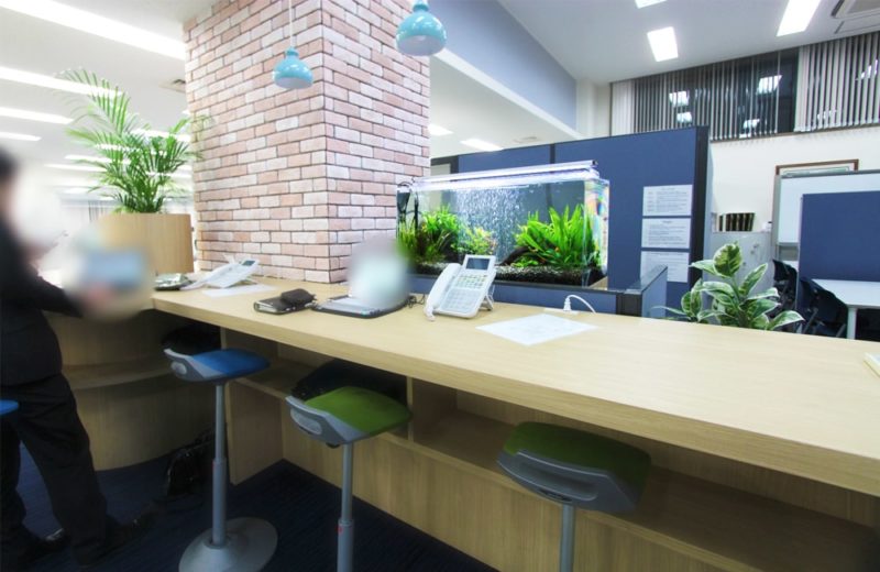 千代田区　オフィスに設置　両面仕様90cm淡水魚水槽レンタル事例 水槽画像１
