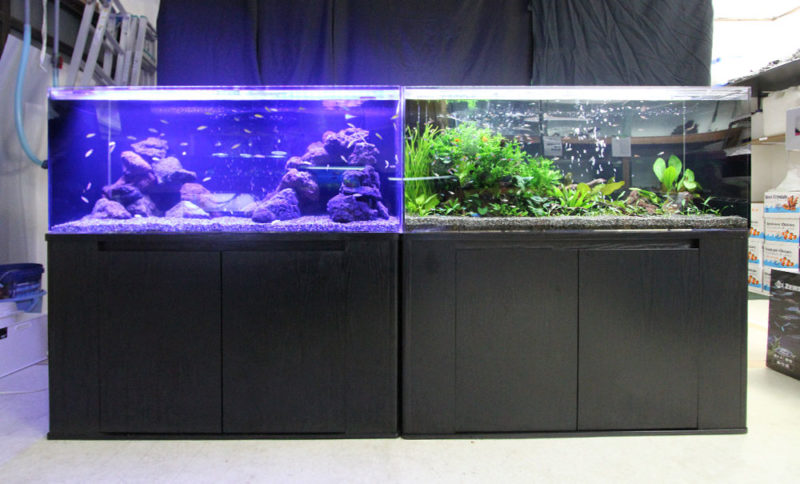 淡水アクアリウム（120cm水槽）　水槽レイアウトを日々勉強中 水槽画像１