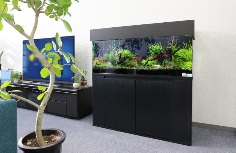さいたま市 オフィスに設置 120cm淡水アクアリウム 水槽レンタル事例 水槽画像１
