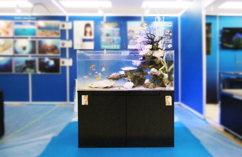 サンシャイン　イベントに設置　120cmマリンアクアテラリウム事例 水槽画像１
