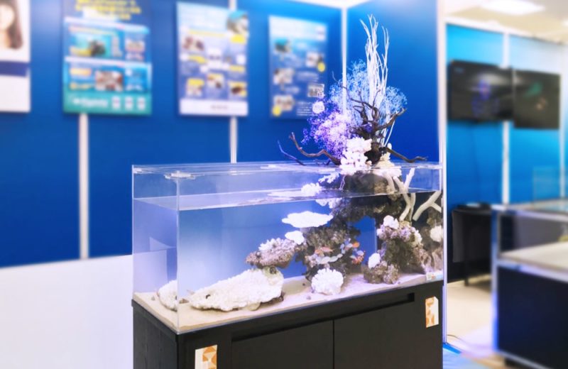 サンシャイン　イベントに設置　120cmマリンアクアテラリウム事例 水槽画像３