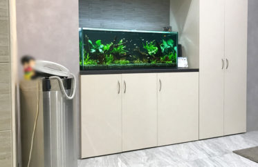 大阪市　オフィスのエントランス　120cm淡水魚水槽レンタル事例