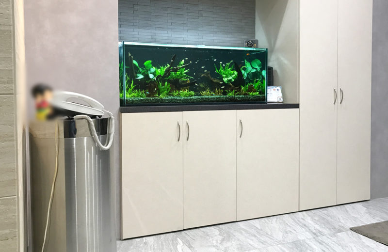大阪市　オフィスのエントランス　120cm淡水魚水槽レンタル事例 水槽画像１