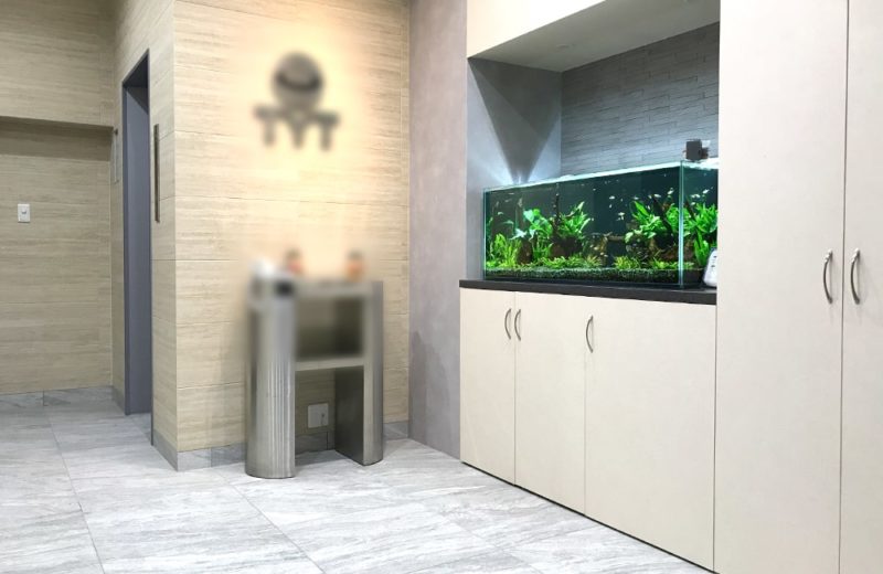大阪市　オフィスのエントランス　120cm淡水魚水槽レンタル事例 水槽画像５