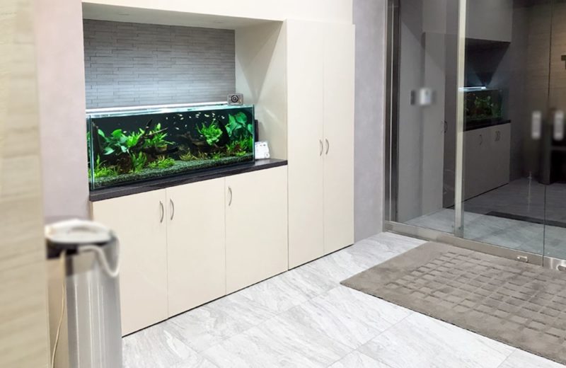 大阪市　オフィスのエントランス　120cm淡水魚水槽レンタル事例 水槽画像４
