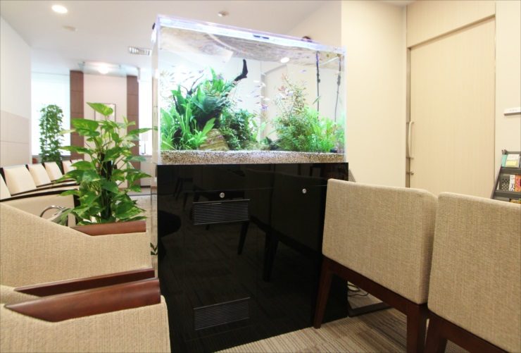新宿区　検診センターの待合室 90cm淡水魚水槽　レンタル事例　その後 メイン画像