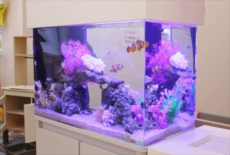 立川市 クリニック 待合室 60cm海水魚水槽 設置事例 東京アクアガーデン