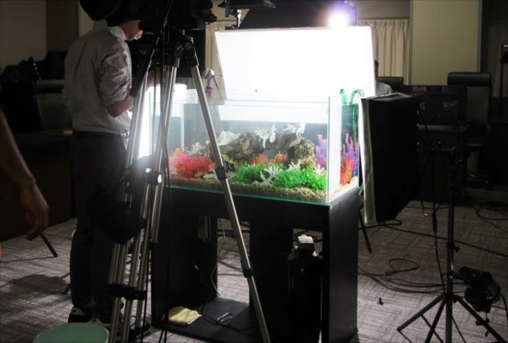 短期イベント　水槽撮影　90cm海水アクアリウム　設置事例 水槽画像３