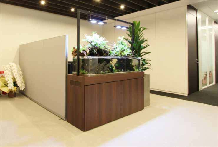 日本橋　オフィスのエントランス　150cmアクアテラリウム　販売・設置事例 水槽画像３