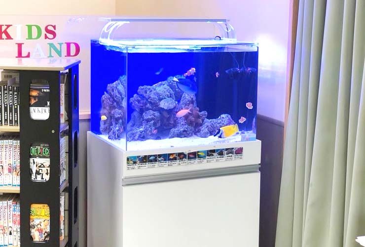 横浜　眼科クリニックの待合室 60cm海水魚水槽　リニューアル事例 水槽画像３