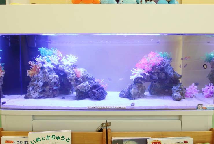 横浜　こどもクリニックの待合室　120cm海水魚水槽　設置事例 水槽画像３