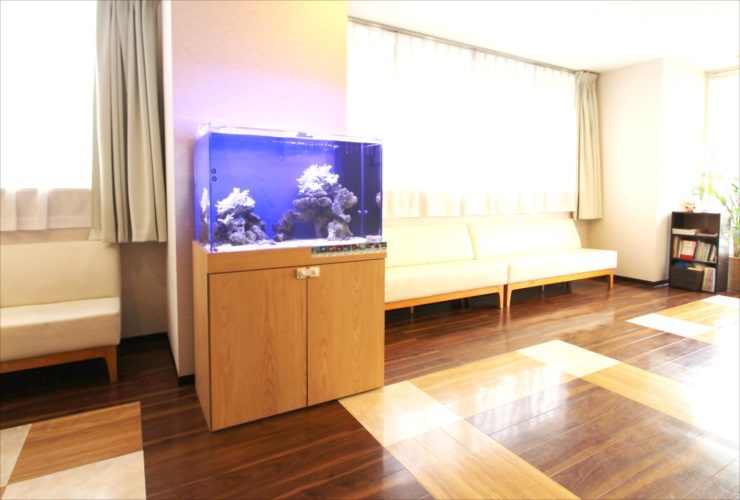 横浜市　内科皮膚科　待合室　90cm海水魚水槽　短期レンタル事例 水槽画像１