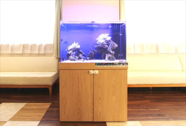 横浜市　内科皮膚科　待合室　90cm海水魚水槽　短期レンタル事例 水槽画像３