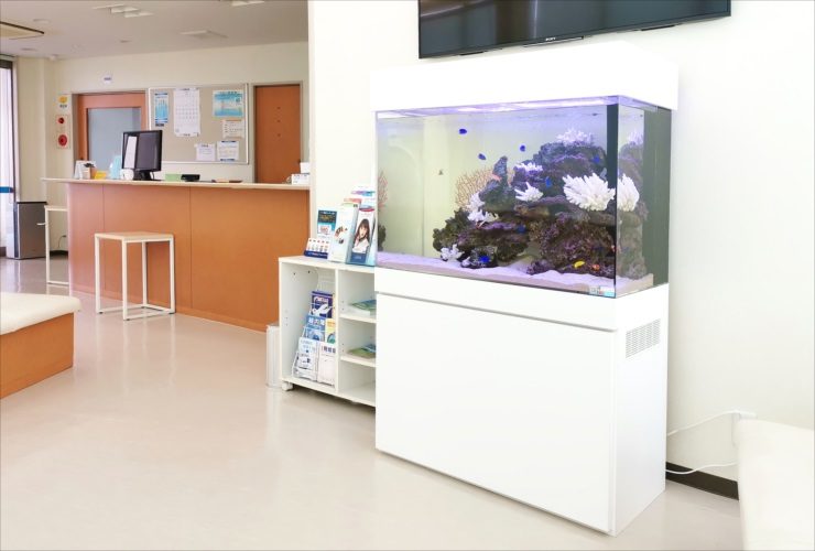 眼科クリニックの待合室　色鮮やかな90cm海水魚水槽　レンタル事例 水槽画像３