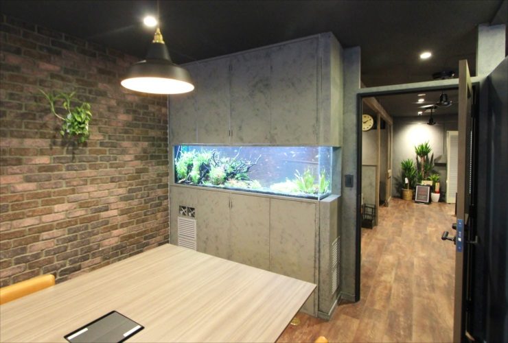 渋谷区　オフィスの会議室　大型淡水アクアリウム水槽　リース事例 水槽画像１