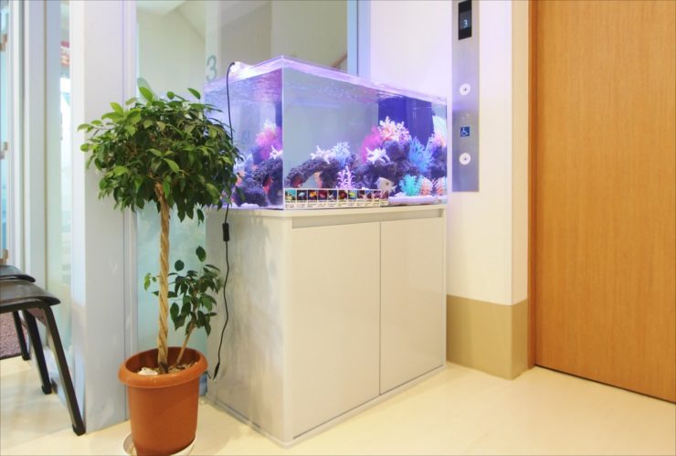 調布市　ファミリークリニック　待合室に設置　90cm海水魚水槽リース事例 水槽画像２