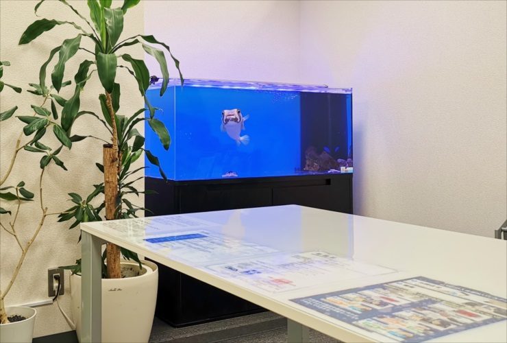 名古屋市 オフィス事務所 120cm海水魚（ハリセンボン）水槽レンタル事例 水槽画像３