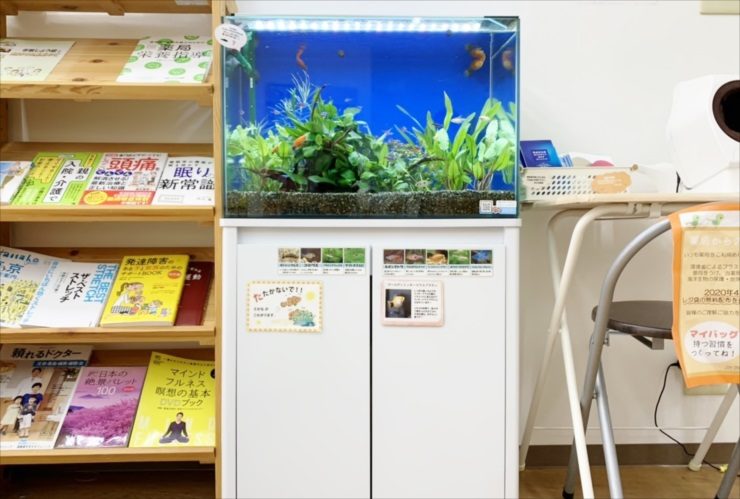 文京区　薬局の待合室 60cm淡水魚水槽レンタル　再設置事例 水槽画像２