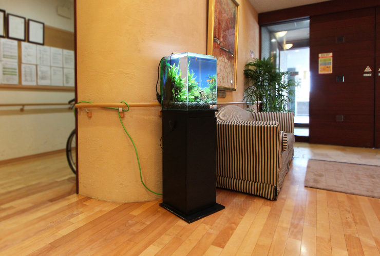 横浜市 特別養護老人ホーム　30cmお試し淡水魚水槽　レンタル事例 水槽画像４