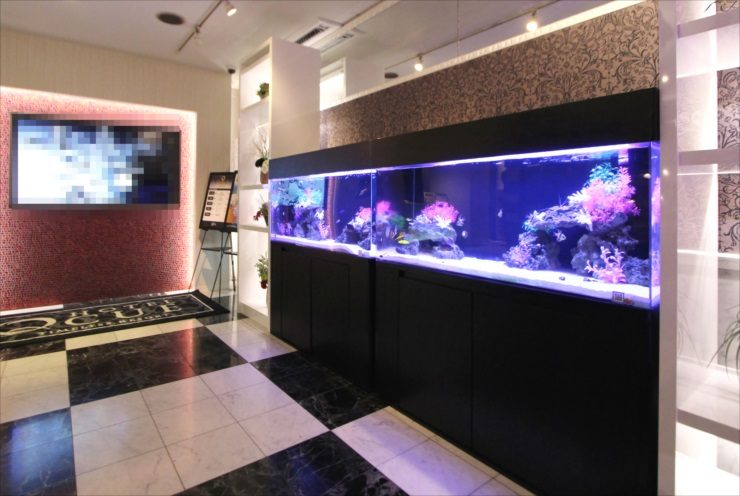 神奈川県厚木市　ホテルの受付フロア 120cm海水魚水槽　レンタル事例 水槽画像３